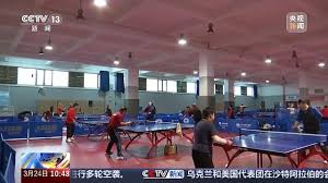 bsports官网 初识单杠与双杠：掌握基础知识，轻松做出正确选择！